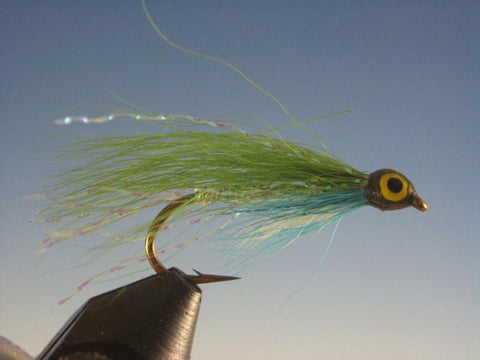 Shiner - The Trout Spot