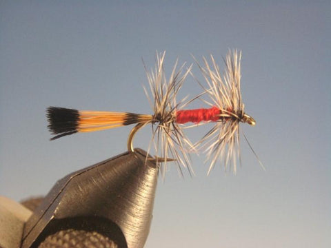 Sierra Bright Dot - The Trout Spot