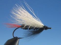 Skunk - The Trout Spot