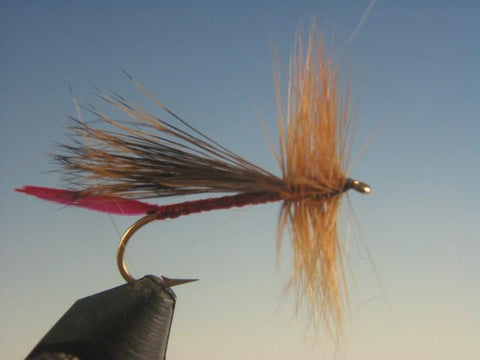 Sofa Pillow - The Trout Spot