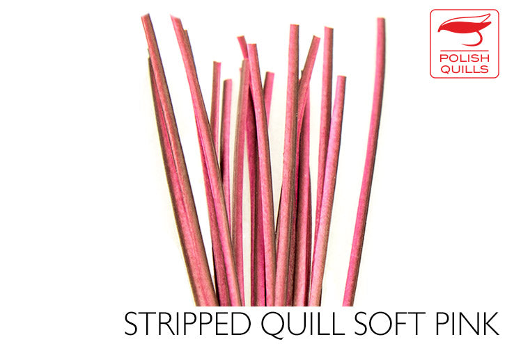 Polish Stripped Peacock Quills Soft Pink