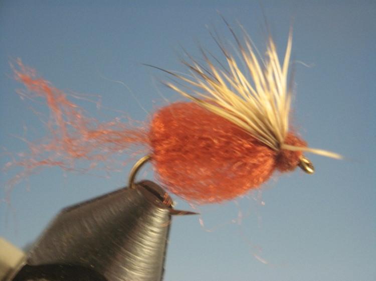 Sparkle Caddis Brown - The Trout Spot