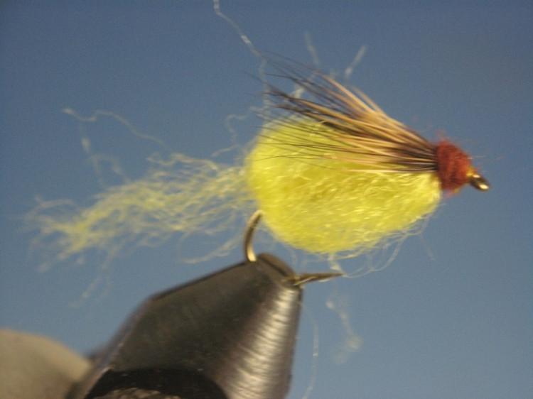 Sparkle Caddis Yellow - The Trout Spot