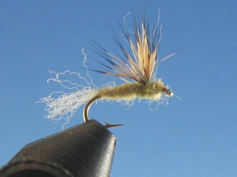 Sparkle Dun PMD - The Trout Spot