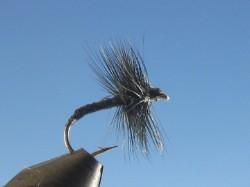 Spinner Black - The Trout Spot