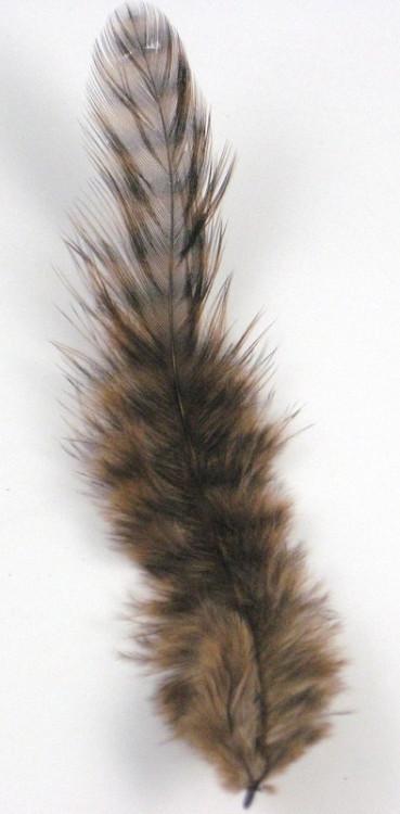 Spirit River Inc UV2 Grizzly Soft Hackles - The Trout Spot