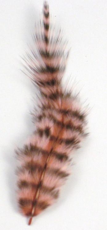 Spirit River Inc UV2 Grizzly Soft Hackles - The Trout Spot