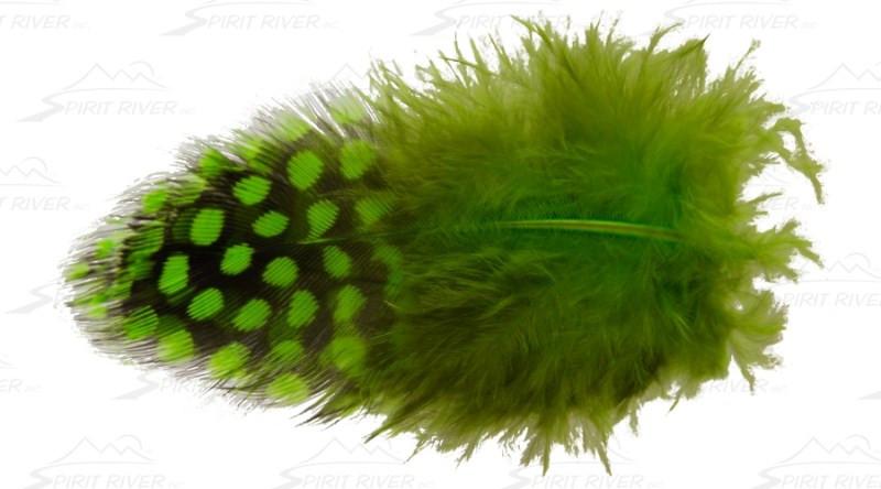 Spirit River Inc UV2 Large Guinea Eyes - The Trout Spot