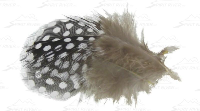 Spirit River Inc UV2 Large Guinea Eyes - The Trout Spot