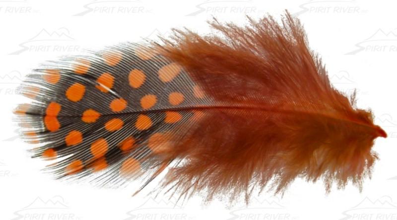 Spirit River Inc UV2 Large Guinea Eyes - The Trout Spot