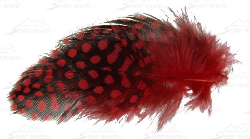Spirit River Inc UV2 Large Guinea Eyes - The Trout Spot