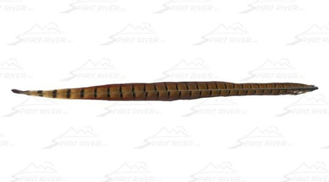 Spirit River UV2 Ringneck Pheasant Tail - The Trout Spot