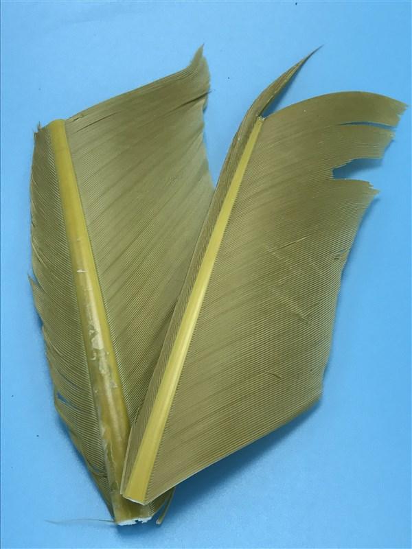 Spirit River UV2 Turkey Biots - The Trout Spot