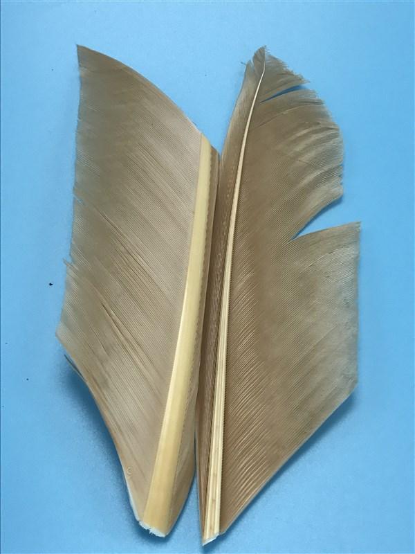 Spirit River UV2 Turkey Biots - The Trout Spot