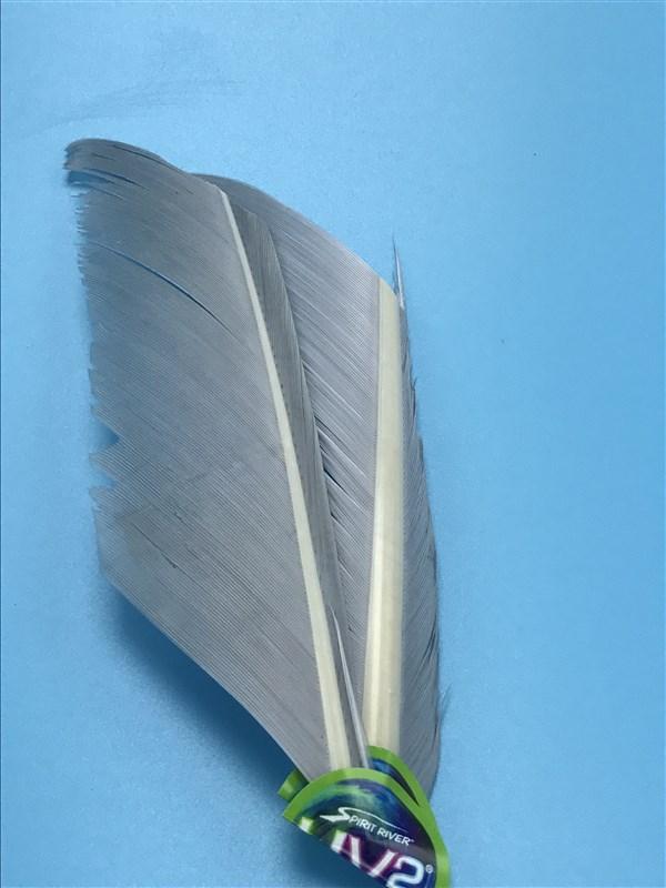 Spirit River UV2 Turkey Biots - The Trout Spot