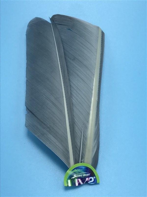 Spirit River UV2 Turkey Biots - The Trout Spot