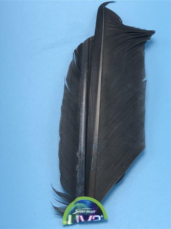 Spirit River UV2 Turkey Biots - The Trout Spot