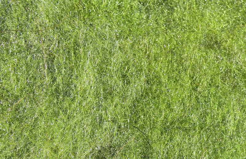 Hareline Dubbin Squirrel Blend - Medium olive - The Trout Spot