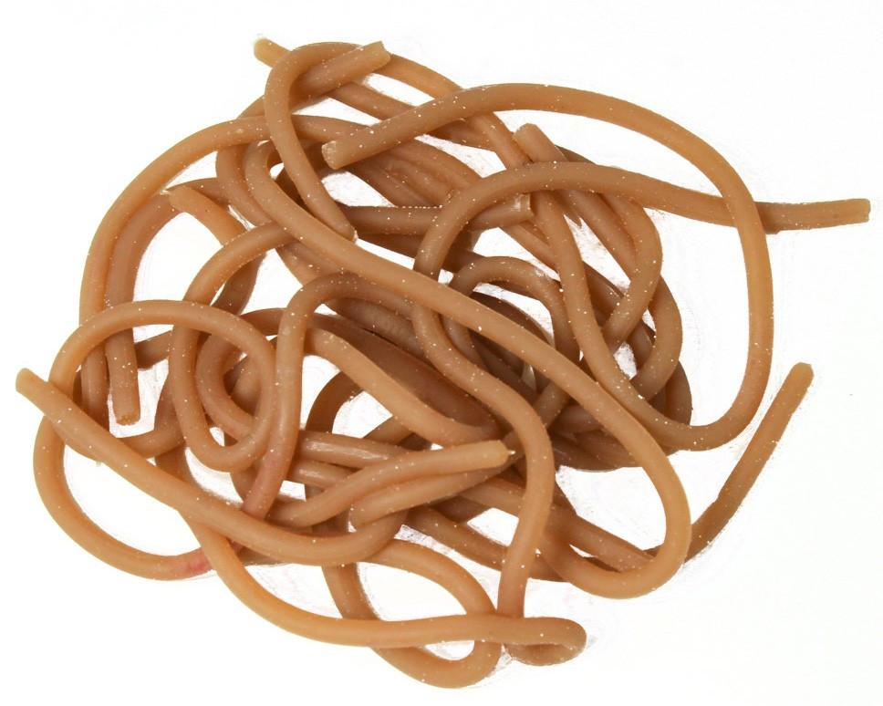 Squirmy Wormies - The Trout Spot