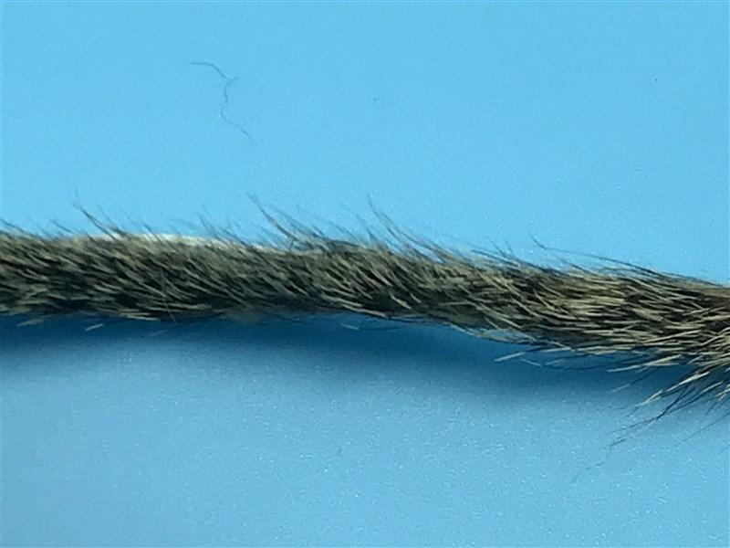 Wapsi Squirrel Zonkers - The Trout Spot