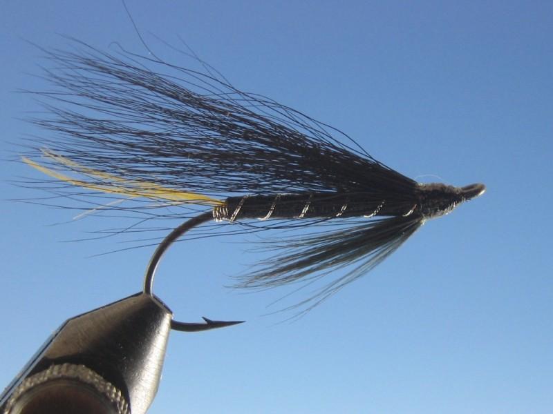 Stoats Tail - The Trout Spot