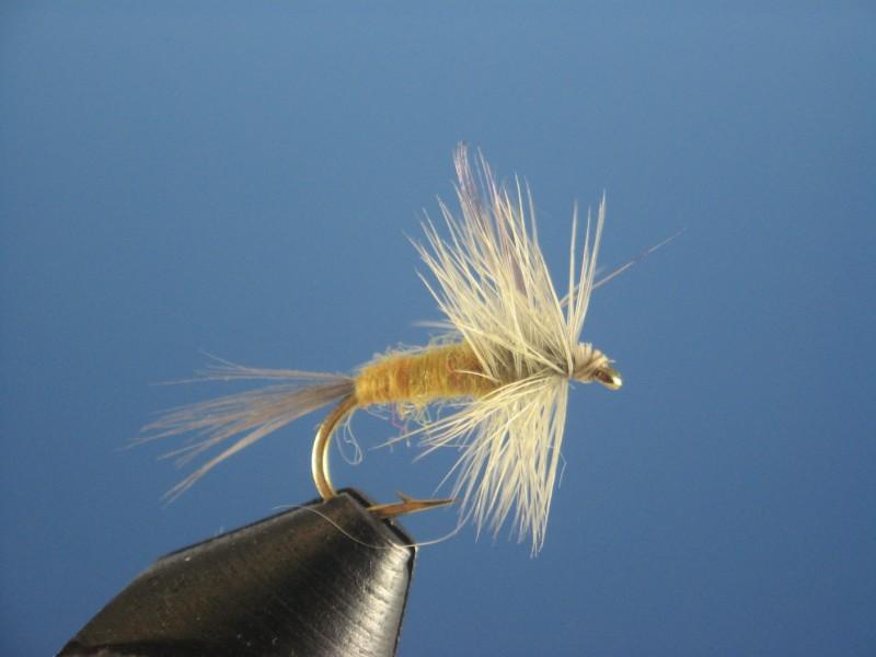 Sulphur Dun - The Trout Spot