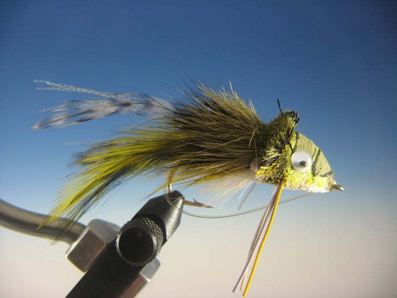 https://thetroutspot.com/cdn/shop/products/swimming-frog-bass-fly-flies-the-trout-spot.jpg?v=1579874459