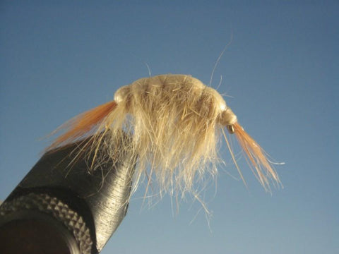 Tan Scud - The Trout Spot