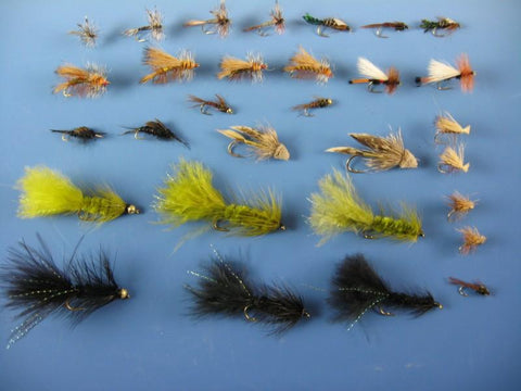 36 Producing Fly Fishing Flies Assortment | Dry, Wet, Nymphs, Caddis,  Hopper Fly Lures | Trout, Bass, Steelhead Fishing Lure