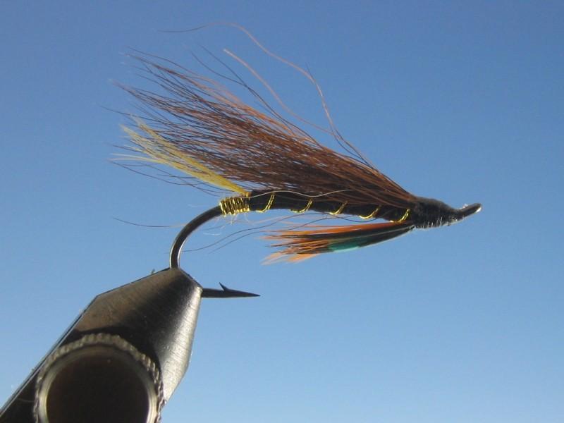 Thunder & Lighting - The Trout Spot