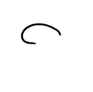 Tiemco 2487 Fly Tying Hooks - The Trout Spot