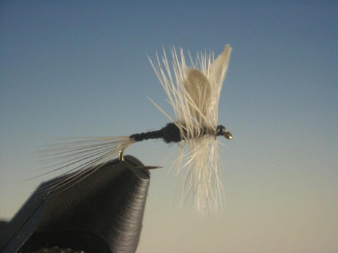 Trico - The Trout Spot