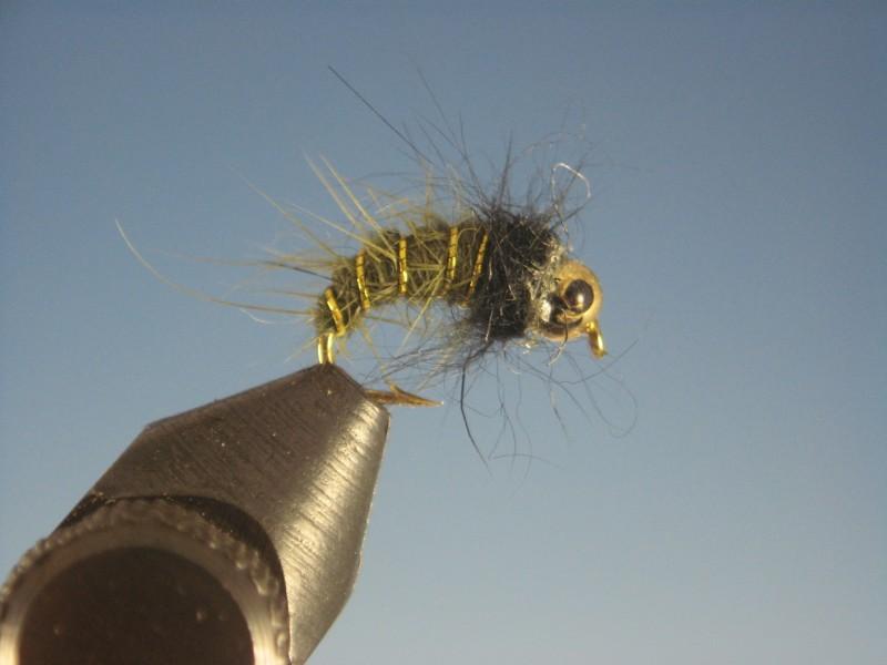 Tungsten Nymph Head Caddis Larva Olive - The Trout Spot