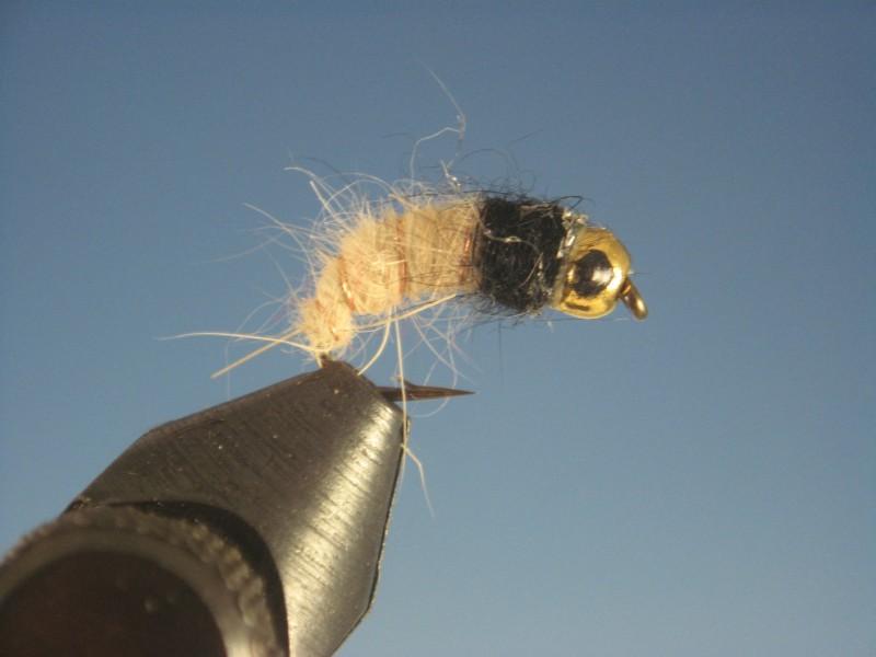 Tungsten Nymph Head Caddis Larva Tan - The Trout Spot
