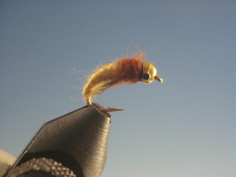 Tungsten Nymph Head Caddis Larva Tan Type 2 - The Trout Spot