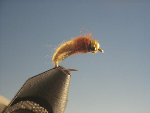 Tungsten Nymph Head Caddis Larva Tan Type 2 - The Trout Spot