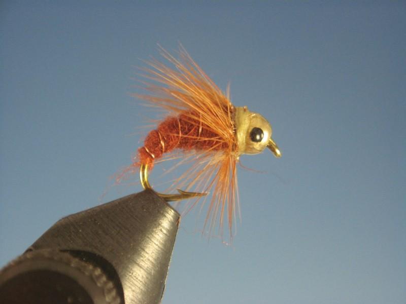 Tungsten Nymph Head Caddis Pupa Brown - The Trout Spot