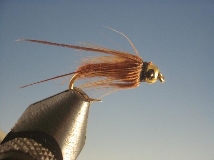 Tungsten Nymph Head Caddis Pupa Brown Type 2 - The Trout Spot