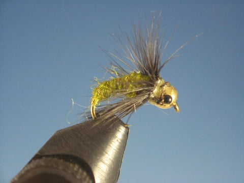 Tungsten Nymph Head Caddis Pupa Olive - The Trout Spot