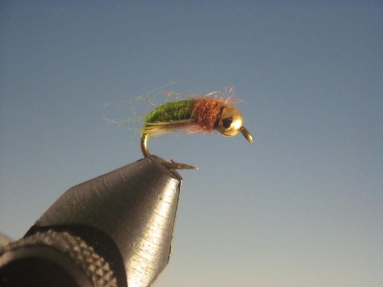 Tungsten Nymph Head Caddis Pupa Olive Type 2 - The Trout Spot
