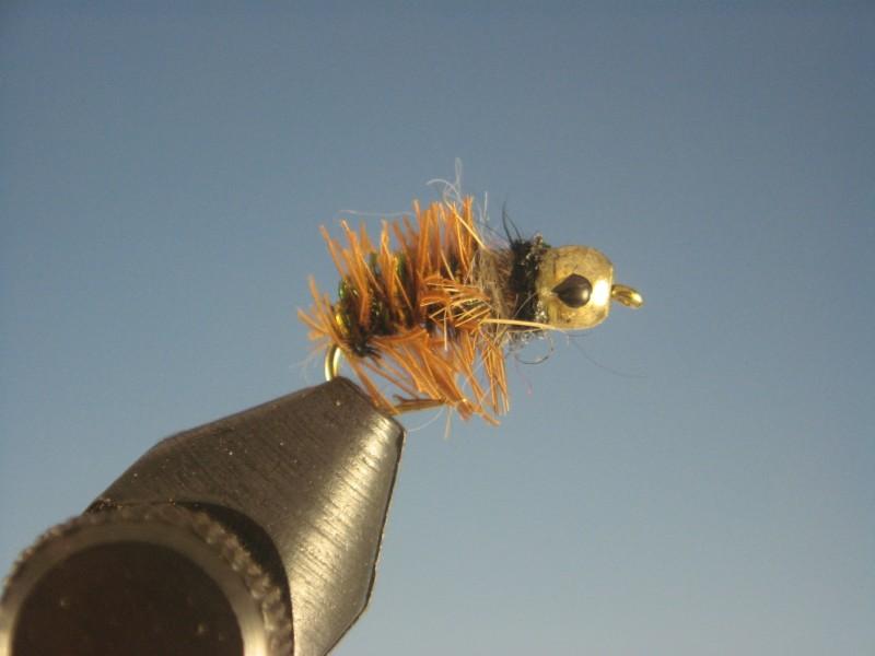 Tungsten Nymph Head Cased Caddis - The Trout Spot