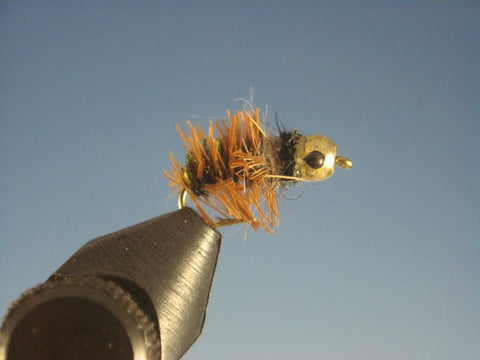 Tungsten Nymph Head Cased Caddis - The Trout Spot