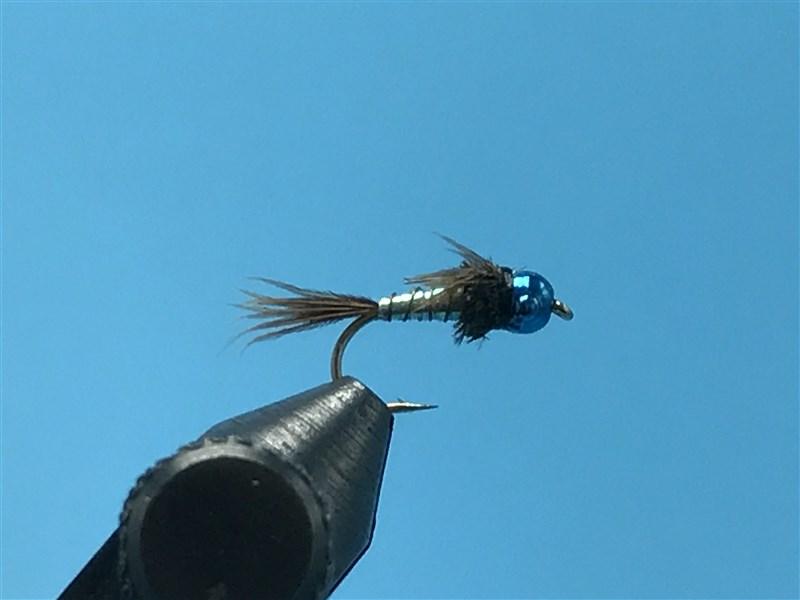 Tungsten Nymphhead Lighting Bug Blue with Blue Bead - The Trout Spot