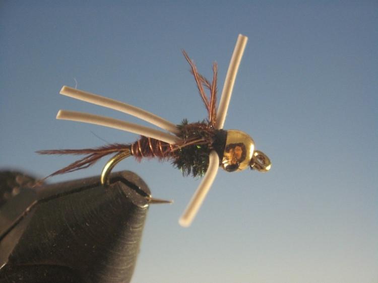 Tungsten Nymphhead Pheasant Tail Rubber Legs - The Trout Spot