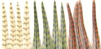 Wapsi Dry Fly Hackle Mini Packs - The Trout Spot