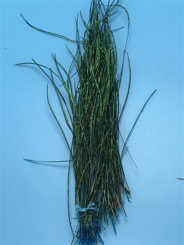 Wapsi Dyed Strung Peacock Herl - The Trout Spot