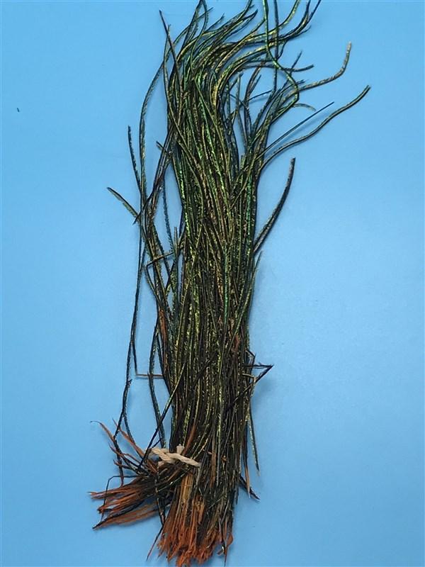 Wapsi Dyed Strung Peacock Herl - The Trout Spot