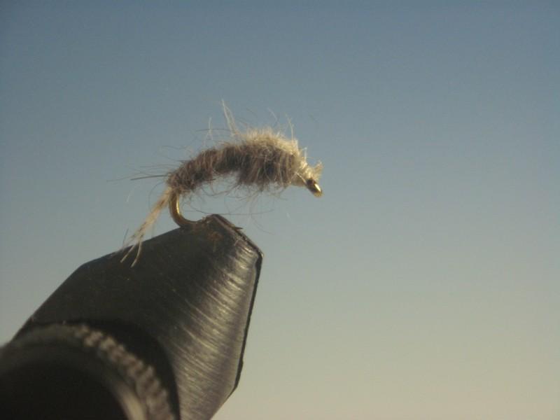 WD-40 - The Trout Spot