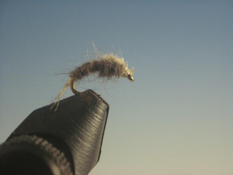 WD-40 - The Trout Spot