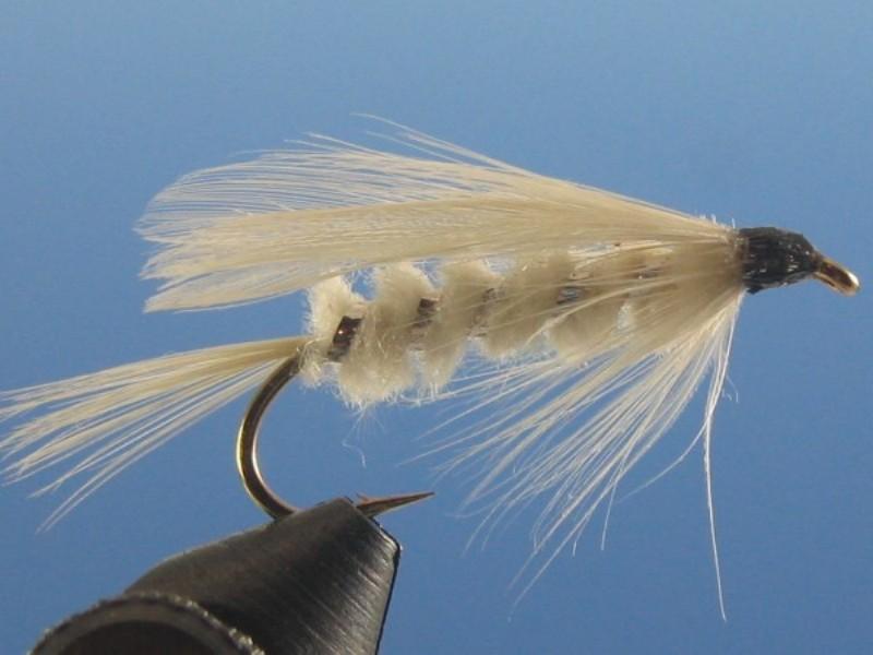 White Chenille Streamer - The Trout Spot